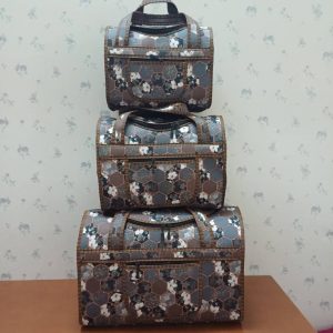 ست استخری طرح کندو